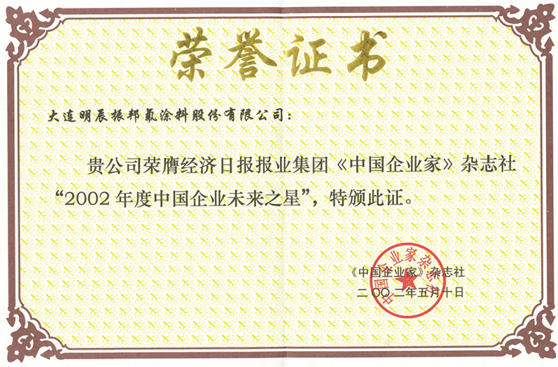 中國企業(yè)未來之星